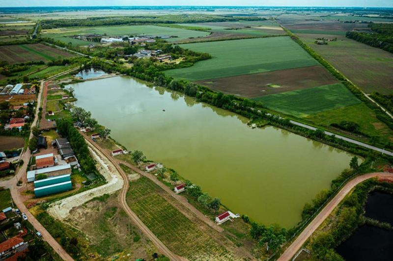 gyula
